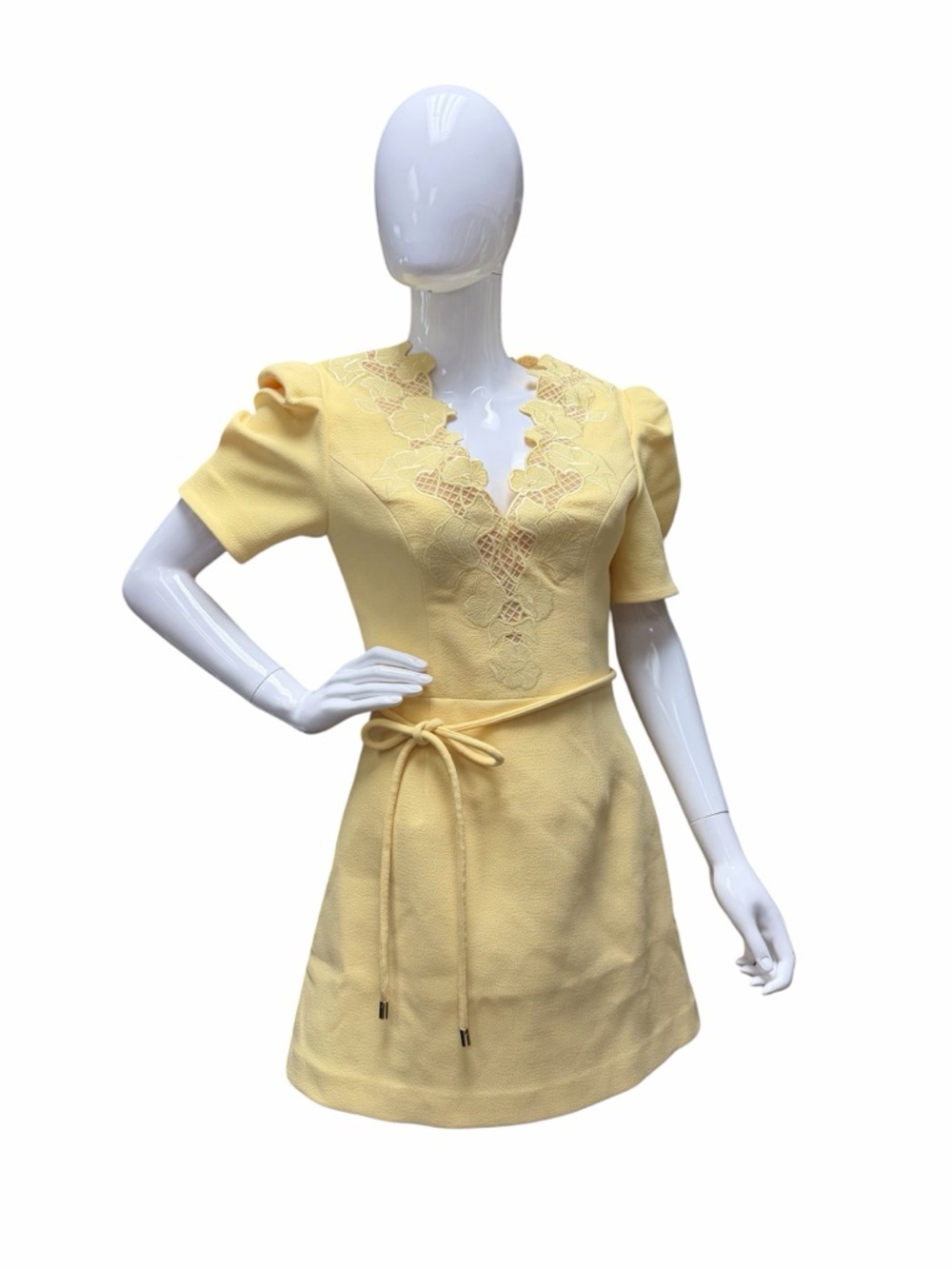 R19 Rebecca Vallance Lulu Mini Dress